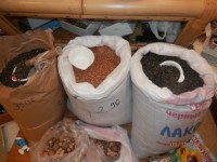 /album/milla-markt/p1300528-jpg/